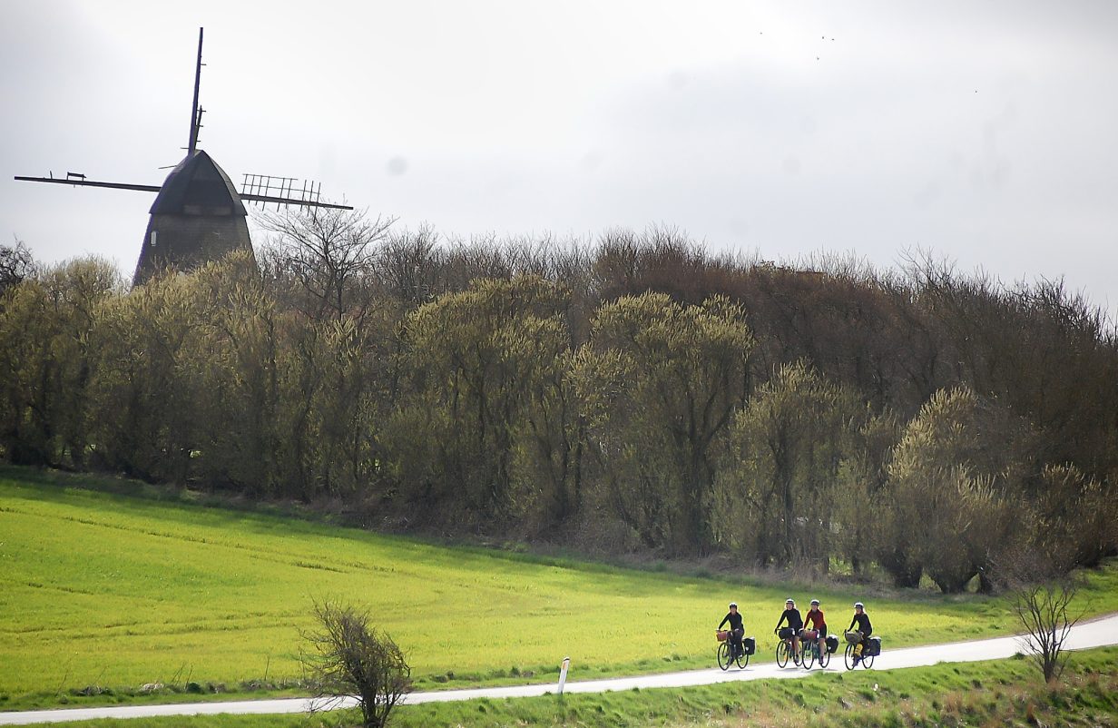 Unge-europa-cyklister-6-kopier-2-aspect-ratio-1232-802